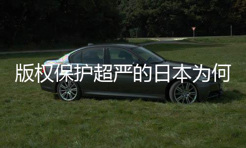 版权保护本为人文何同化盛灰色二创的日地带行揭秘业界超严