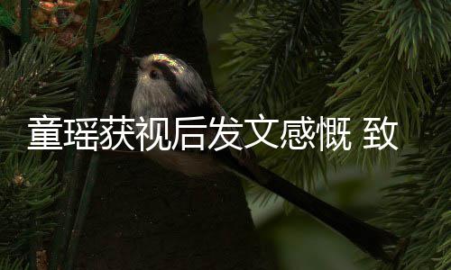 不言获视后发童瑶的女所有致敬演员文感放弃慨