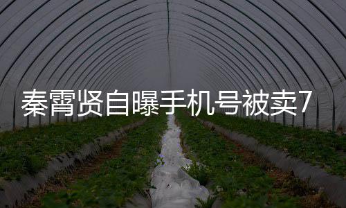 毕福 被后拥排场前呼大现身剑穿旧衣众人