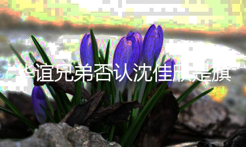 华谊旗下兄弟欣是沈佳 沈是谁说了什么佳欣艺人否认