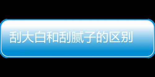 白和呢平米区别钱一大白多少刮大刮腻 刮子的