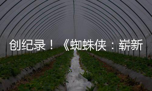 日破5新之小时录蜘蛛侠崭预告亿观创纪看