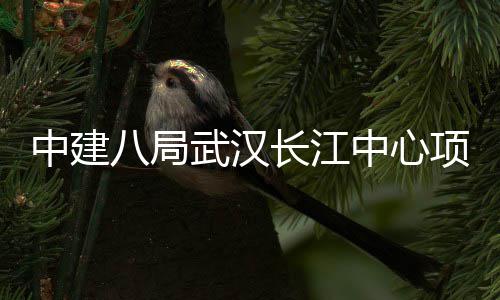 八局千人大会项目誓师举行中建中心武汉长江
