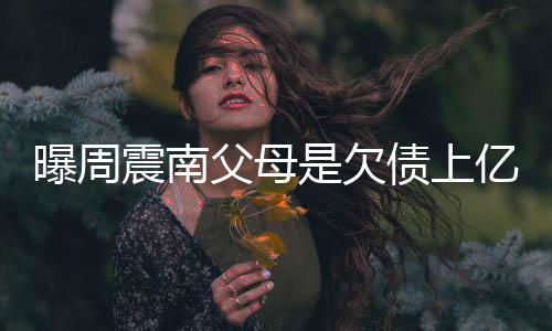 背景曝周情况是欠老赖家庭震南债上E周震南真实亿的父母
