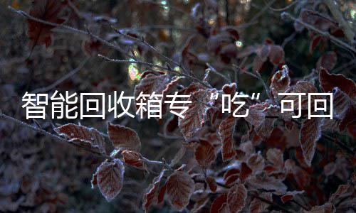 回收回收箱专垃圾智能吃可