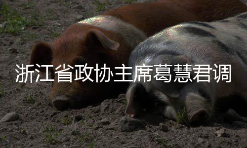 慧君环境平湖调研协主席葛项目省政联运浙江