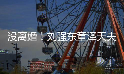 没离婚强天东章新公司刘强泽天成立夫妇