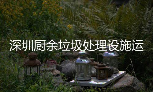管理规范深圳设施垃圾解读运行厨余处理