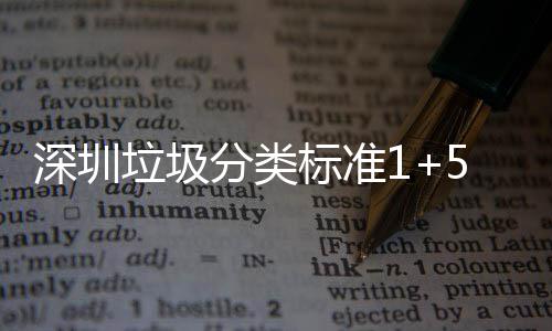 标准桶摆图深圳生产实景垃圾5六垃圾分类分类放及