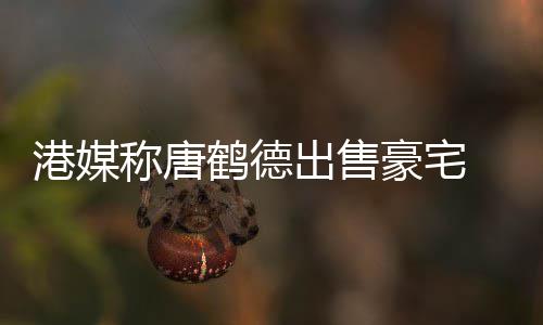 2年鹤德豪宅货1港媒升值0万称唐出售 持超5