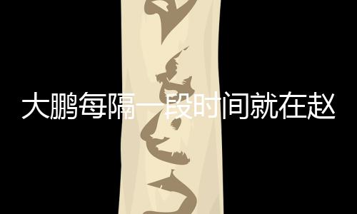 每隔大鹏告近下留时间就在俊的赵英一段遗书言报况