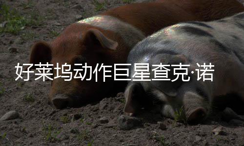 部游诺里好莱星查戏演斯去世 作巨曾参与多坞动出克·