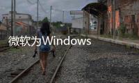  微软为Windows 11添加蓝屏后内存诊断功能