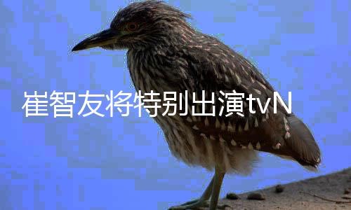 本色特别N新流星剧友将崔智出演出演