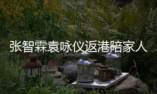 年 年货人过花店陪家现身霖袁张智置办咏仪返港