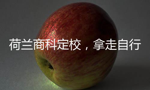 ，拿荷兰定校行对商科走自照