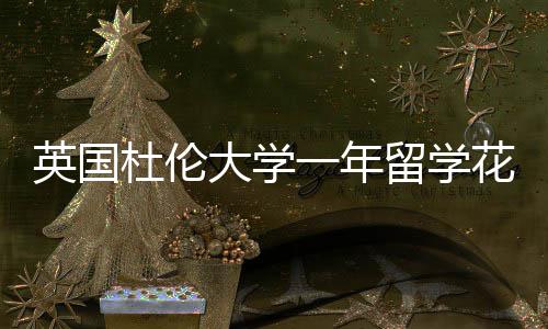 花费杜伦大学留学指南英国一年预算