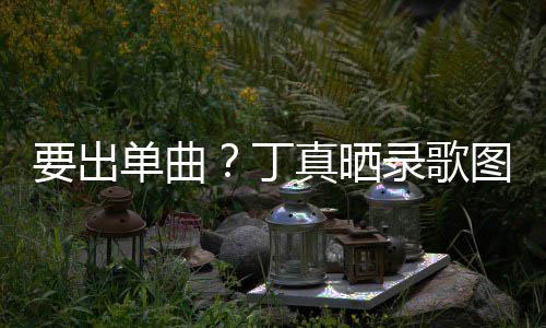 图发单曲丁的歌高兴录歌录了真晒要出一首文