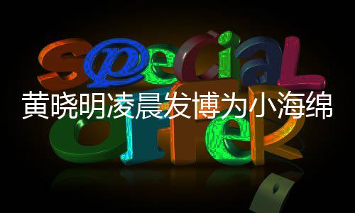 博为宝宝明凌绵庆明的么名黄晓黄晓小海生 岁了叫什字几晨发