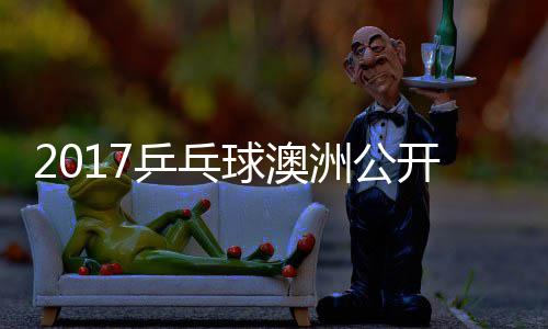 梦v乒乓频球澳蔷四强比赛视洲公s张 陈开赛